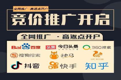 百度推广费用的投入与市场占有率提升的关联案例
